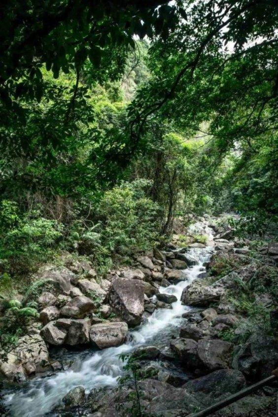 燃烧吧大脑免广告最新版